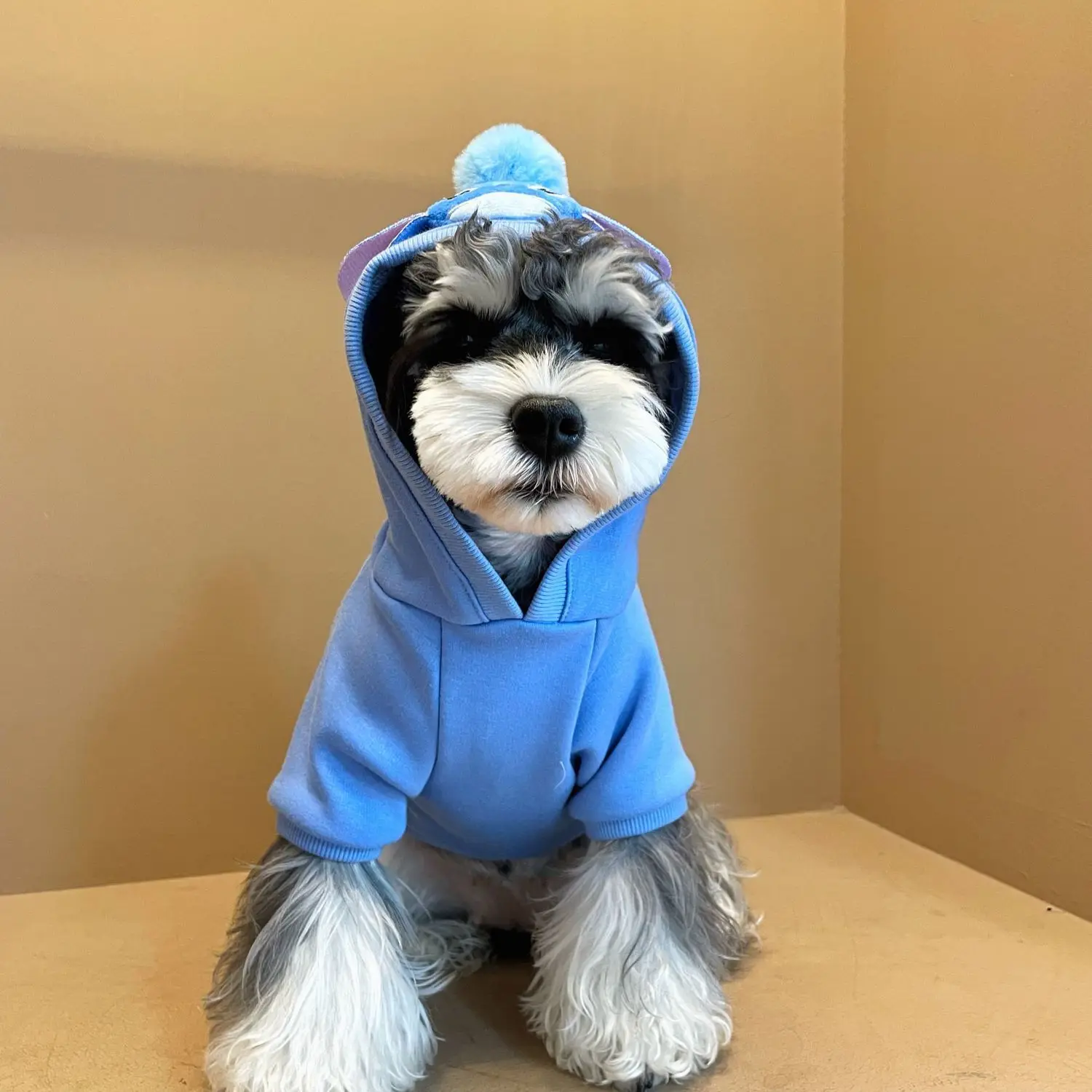 Small Dog Stitch Costume Camping Boutique